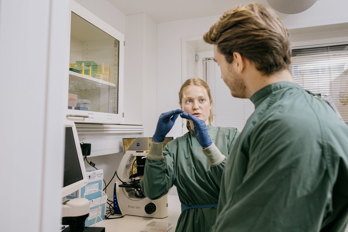 Kristine arbejder med tarme i miniatureudgaver, som hun dyrker på stamceller.