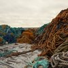 Picture of fish nets 