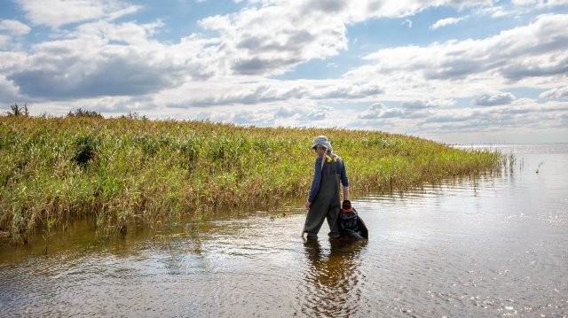  Klik her for information om Hvordan får vi godt vandmiljø i vores vandløb?-arrangementet i Aarhus.