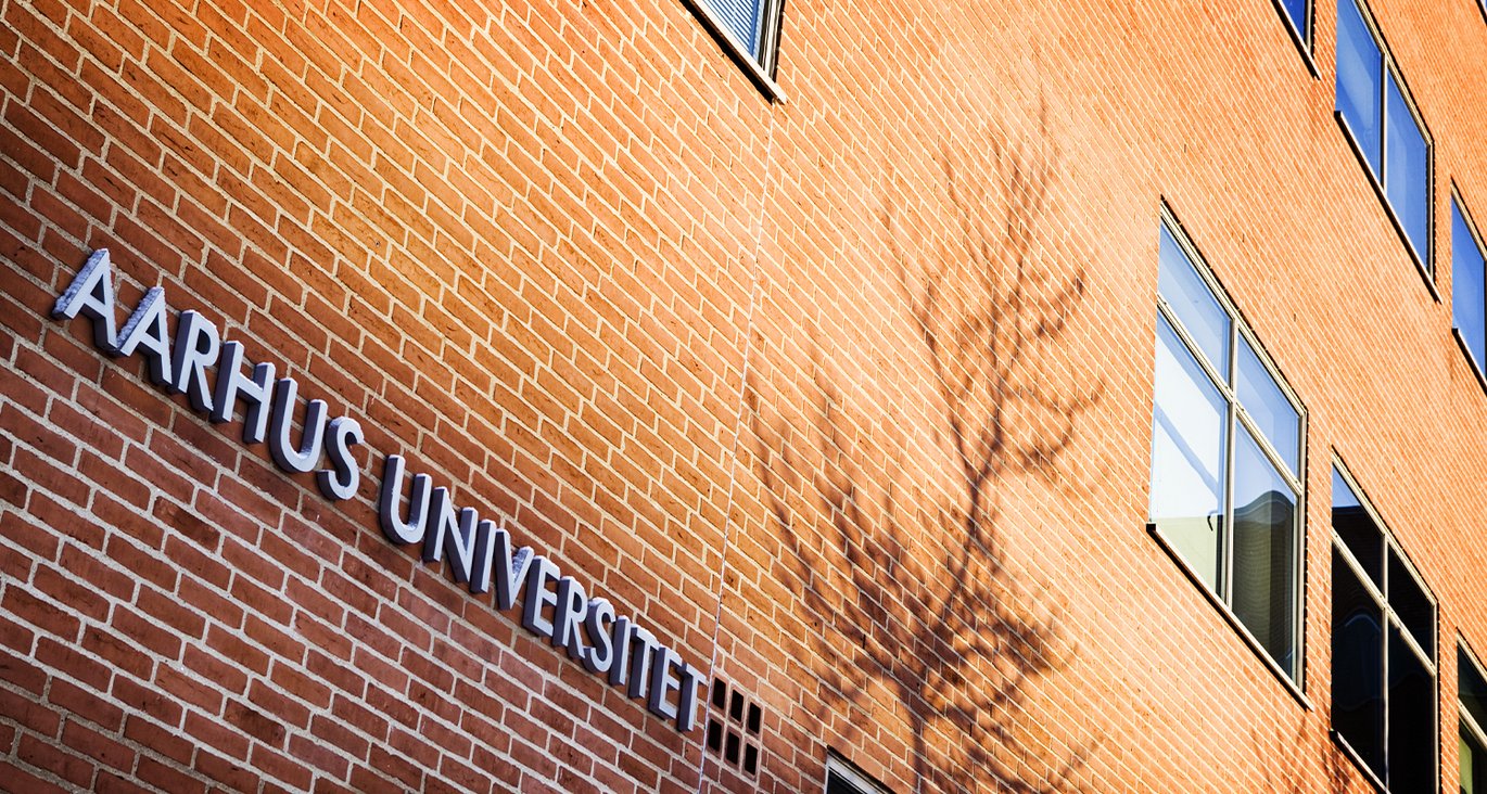 The idea is for students and staff at AU to buy shares in a solar-cell installation fitted on the top of AU’s buildings. The owners of the shares will then annually receive financial consideration for the electricity produced by the installation. Photo: AU Foto