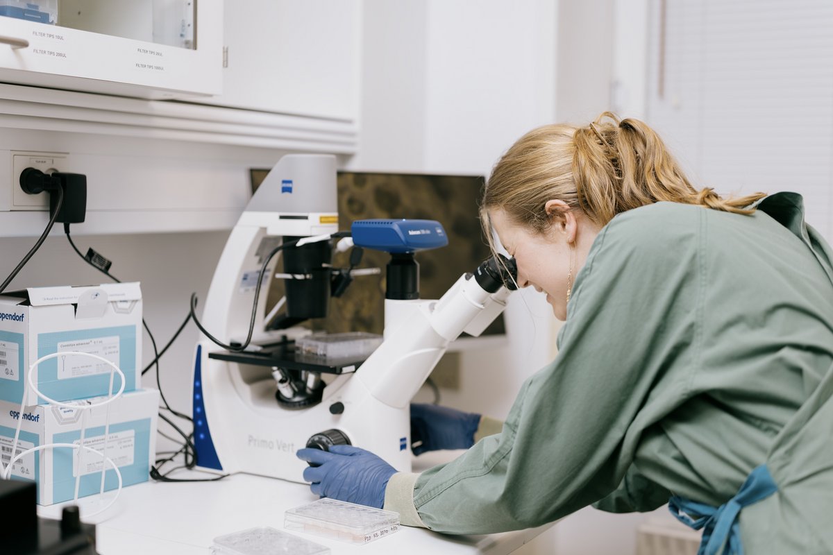 Kristine har fundet ud af, at der findes en særlig parasit, som kan være en nøgle til nye behandlingsformer. Parasitten producerer signalstoffer, der kan normalisere kroppens immunrespons og dermed dæmpe inflammation. 