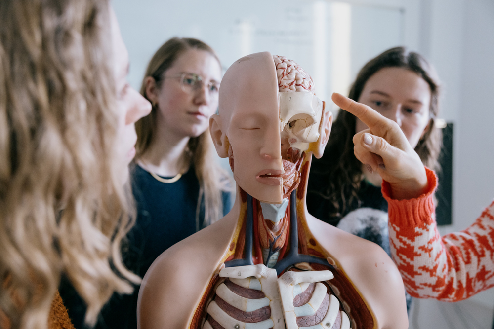 AU FOTO/Jens Hartmann