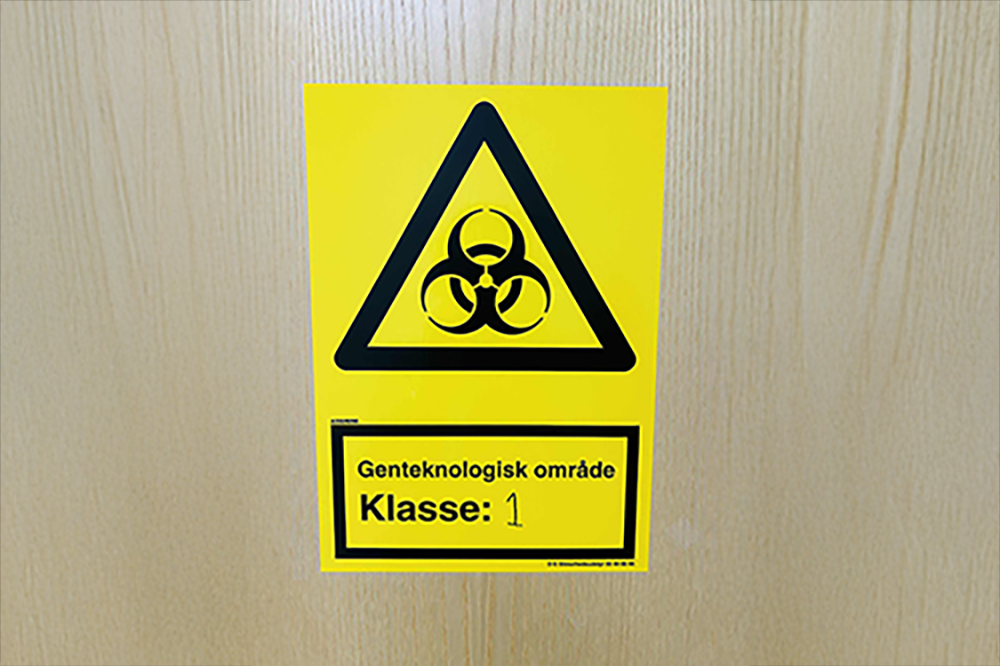 I laboratoriet kan hun styre stamcellernes udvikling ved at give dem vækstfaktorer, der kan tænde specifikke gener, så det bliver til lige præcis tarmvæv